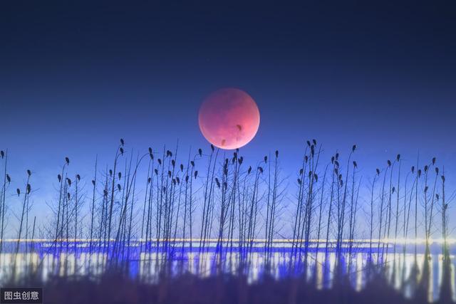 社会浮躁自己该怎么做,这个社会太浮躁需要静下心来