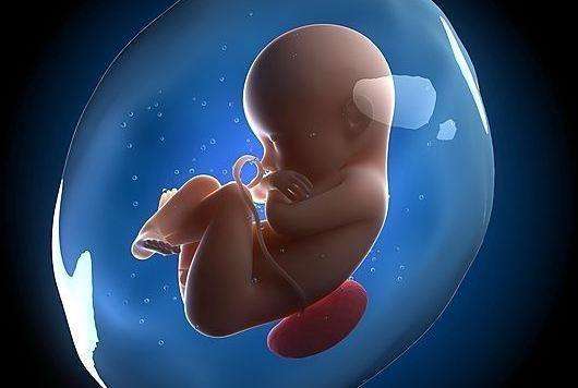 干细胞移植肝硬化研究进展,肝硬化晚期干细胞移植能维持多久