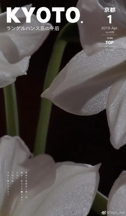 网友做的电视剧海报,让人惊艳的电影海报