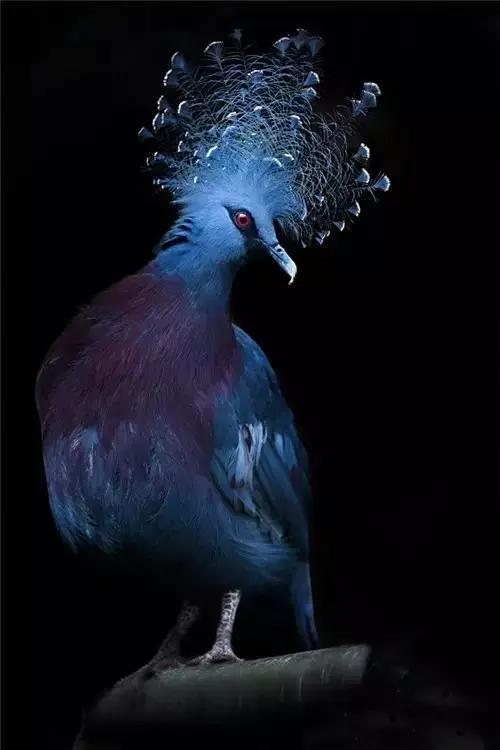 社会犹如一条船,社会就像一个丛林