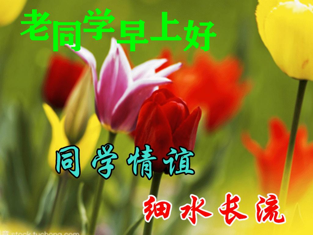 早上好周末愉快问候语动态表情包,周一早上好最新图片表情包