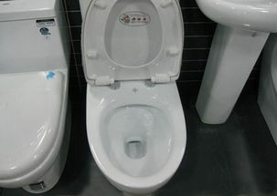 墙排马桶和地排马桶优缺点,2个卫生间如何选择马桶