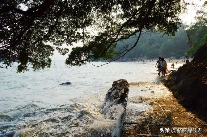 厦门海边之旅,厦门小众旅游体验