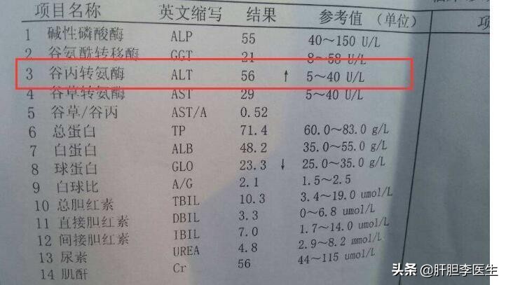 停了保肝药转氨酶又升高,转氨酶高为什么不能吃羊肉