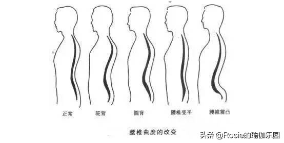 办公室久坐腰疼可以做哪些动作,久坐腰疼办公室缓解动作