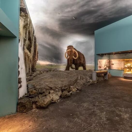 这场Dior杭州时装展，让我梦回2年前的加拿大