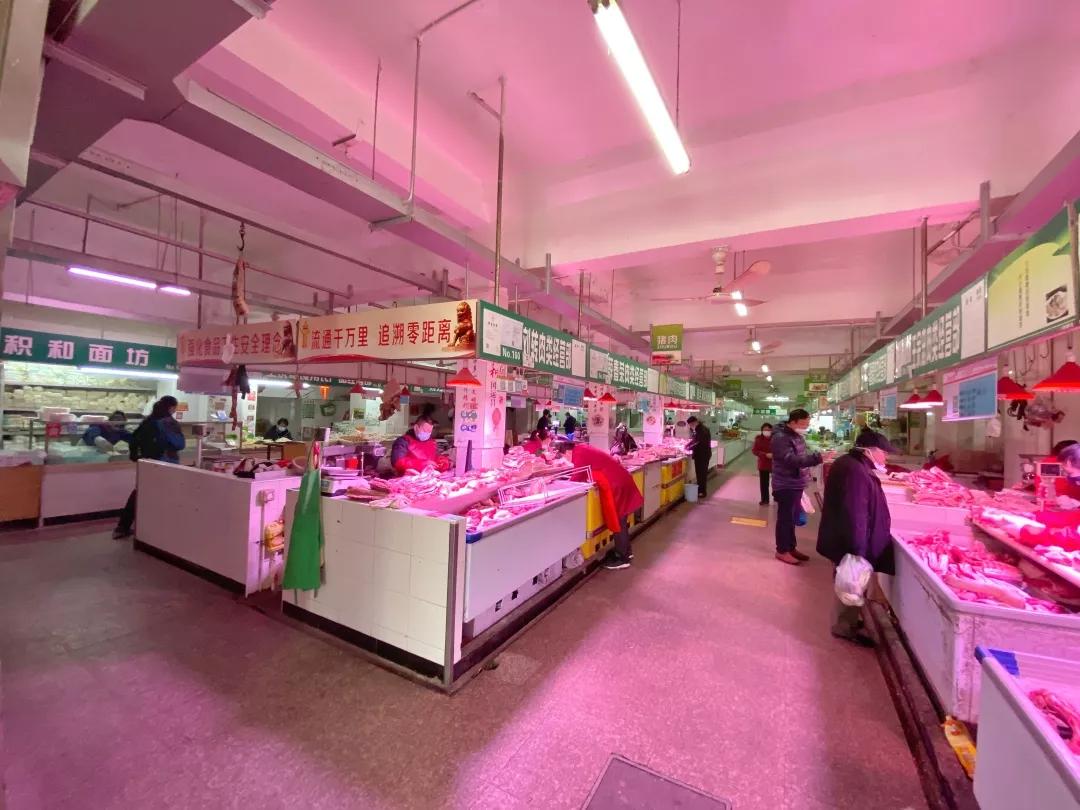 上海2月4日天气,上海2月10日天气