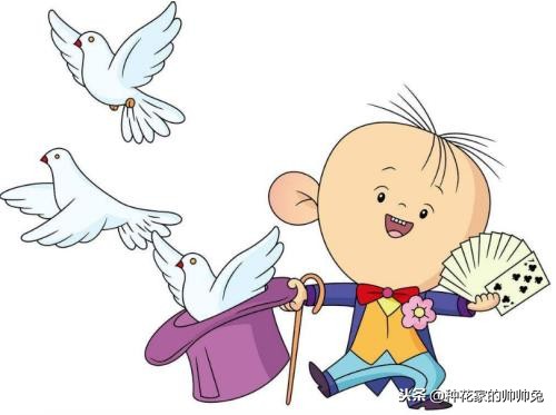 90后看过的日本动漫,哪部动漫是90后的童年