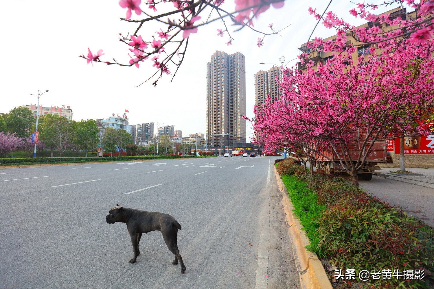 湖北京山摄影,京山摄影作品