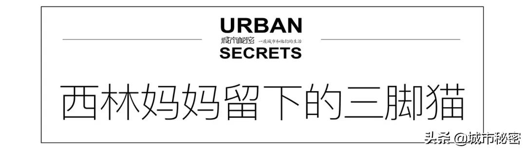 杭州文教区如果不写杭师大，那和一条失去梦想的咸鱼有啥区别