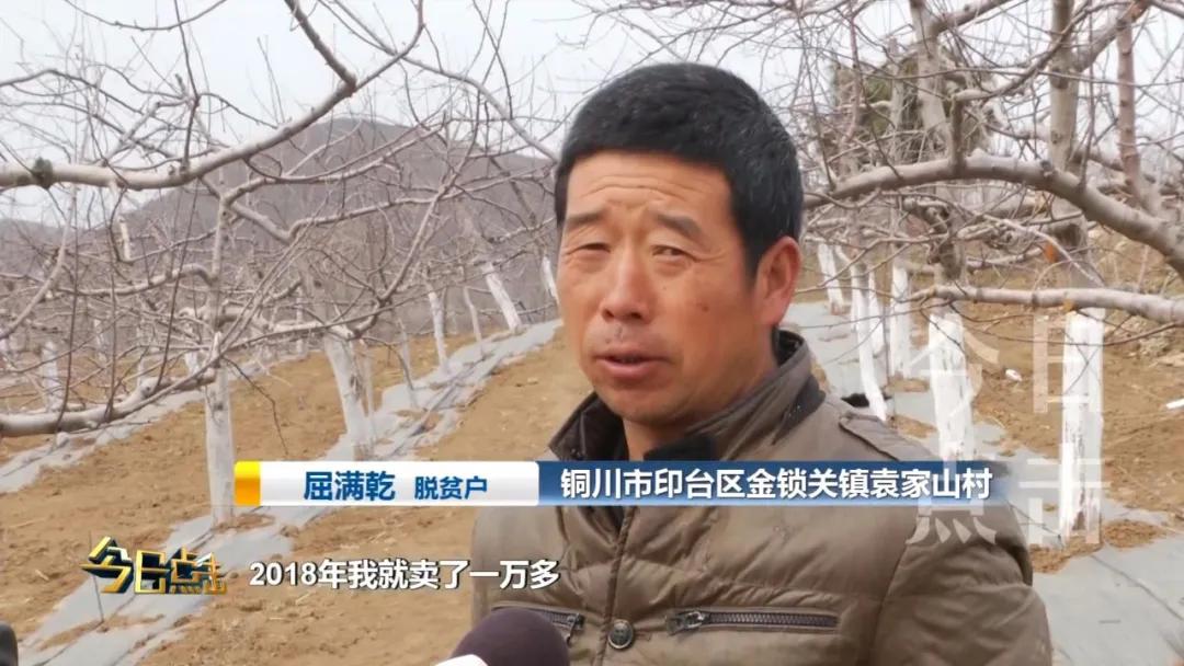 铜川印台脱贫攻坚,铜川印台区脱贫户