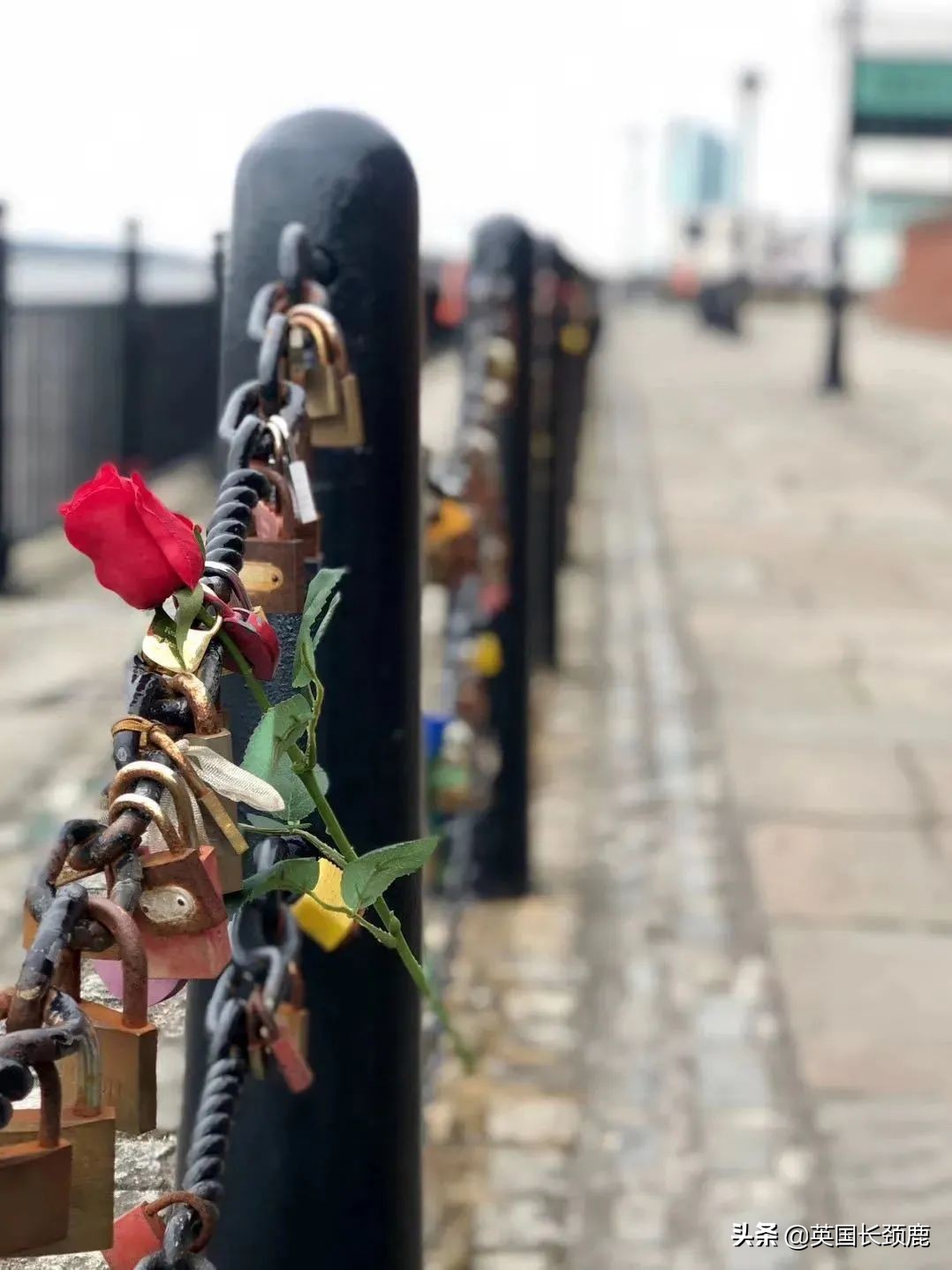 「五二零」英国对爱情的记忆法：六个见证过浪漫往事的地方