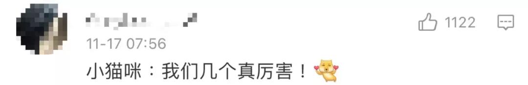 漂亮小奶猫喝奶,4只小奶猫吃豪华大餐