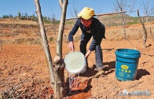 白鹿原中的风土人情,白鹿原上的生活记忆