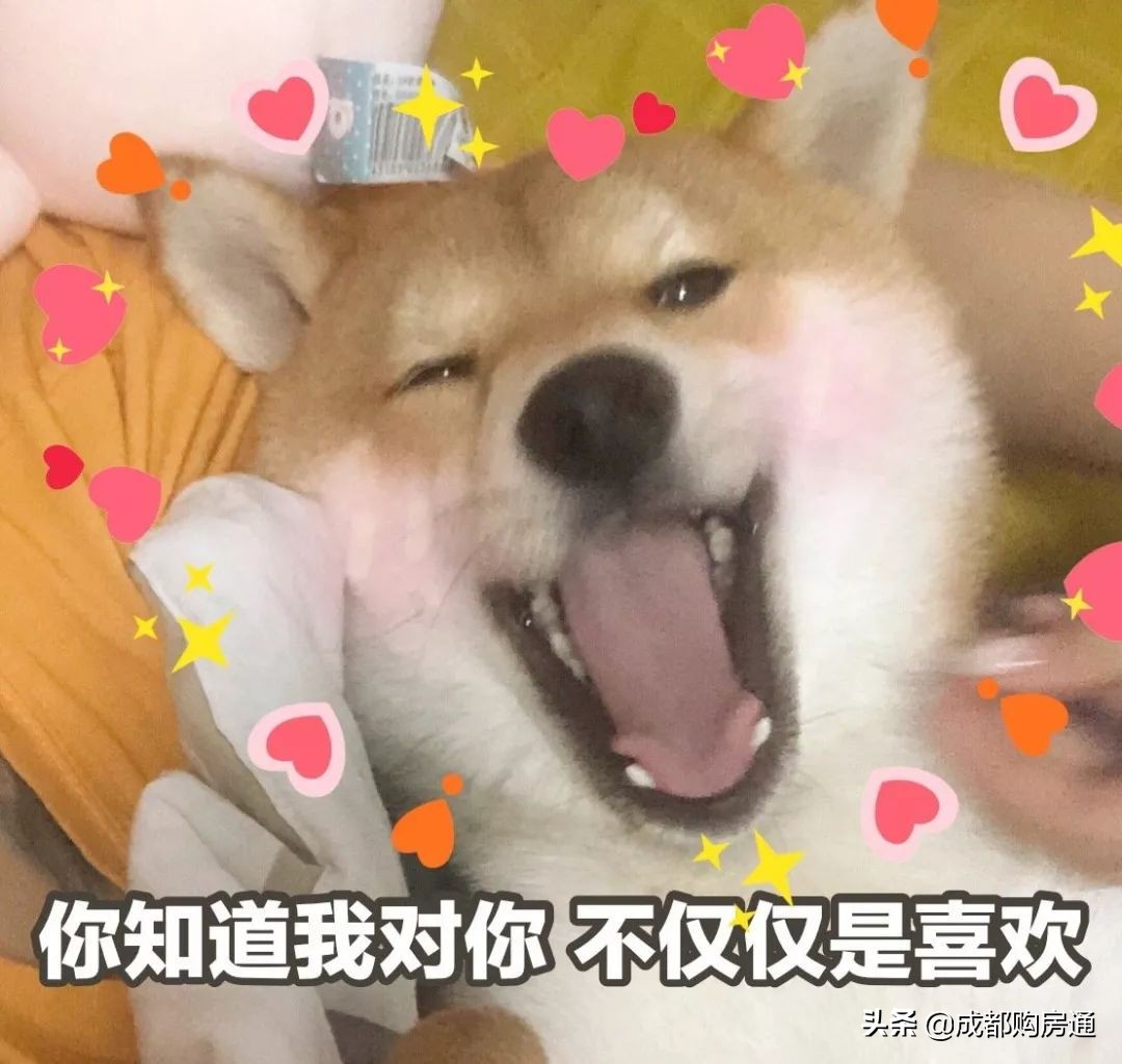 撕了700多天，13号线站点敲定！40万居民喜大普奔，沿线楼盘受益