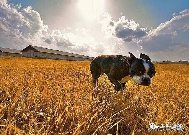 超广角和长焦镜头哪个更实用,广角镜头和长焦镜头优缺点