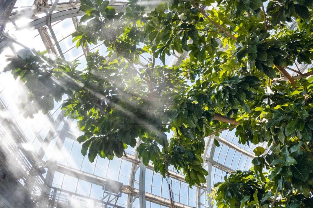 值得新手入门的徕卡相机,目前最值得入手的徕卡相机