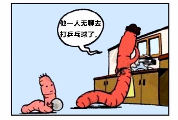 漫画蚯蚓历险记,蚯蚓漫画