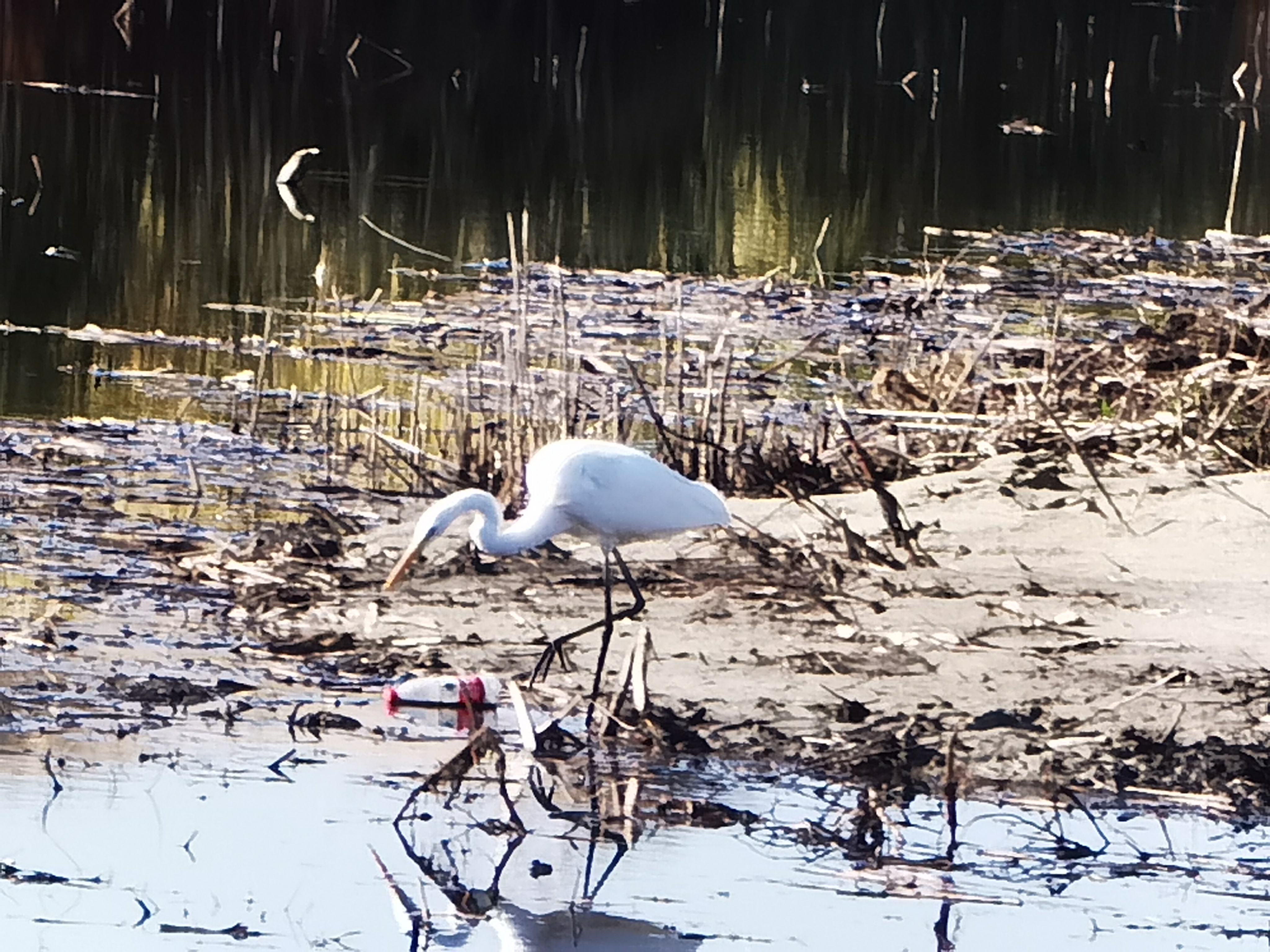 自驾游*疆新**：原来你是这样的白沙湖