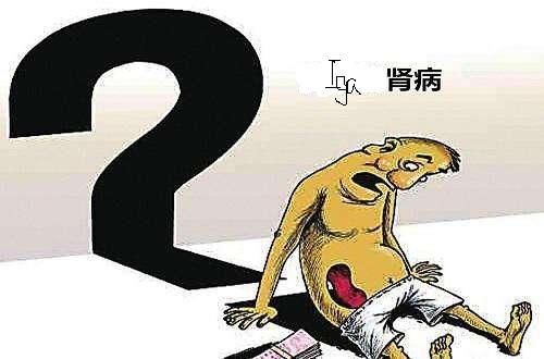 iga肾病四级一般可以控制多少年,我与肾癌斗争的经历