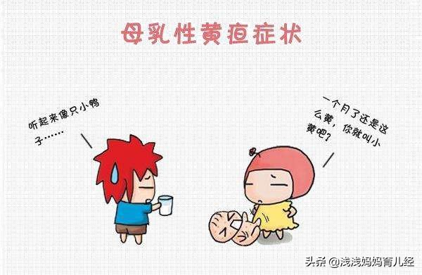 新生儿黄疸退了吃母乳又黄了,新生儿黄疸吃茵栀黄吐奶很严重