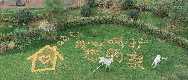 龙湖春江郦城117平新家一镜到底,济南龙湖春江郦城的利弊