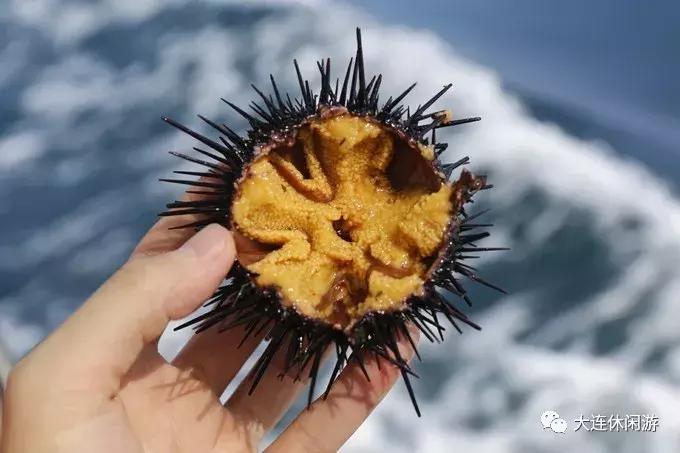 大连人为什么叫大连人,大连人是指哪里人