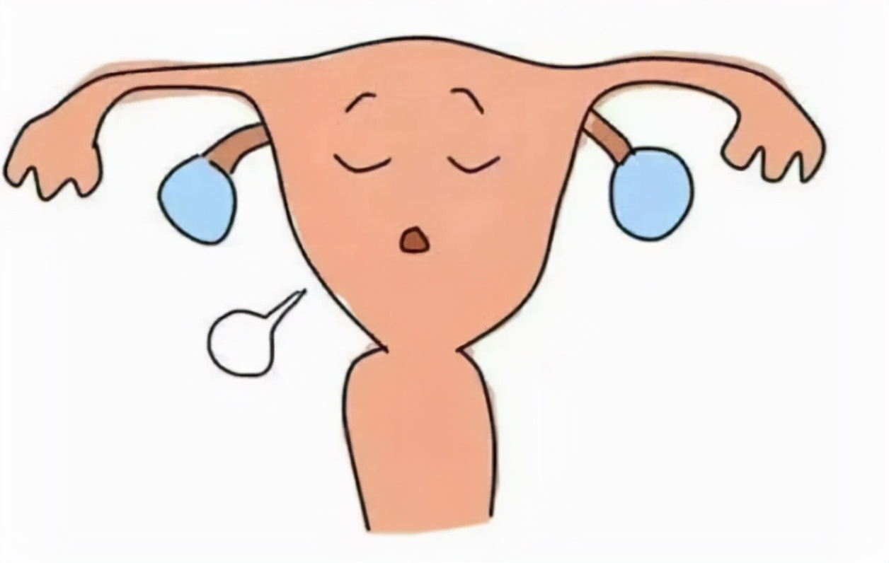 “石女”和正常女性有什么区别?她们能怀孕吗?