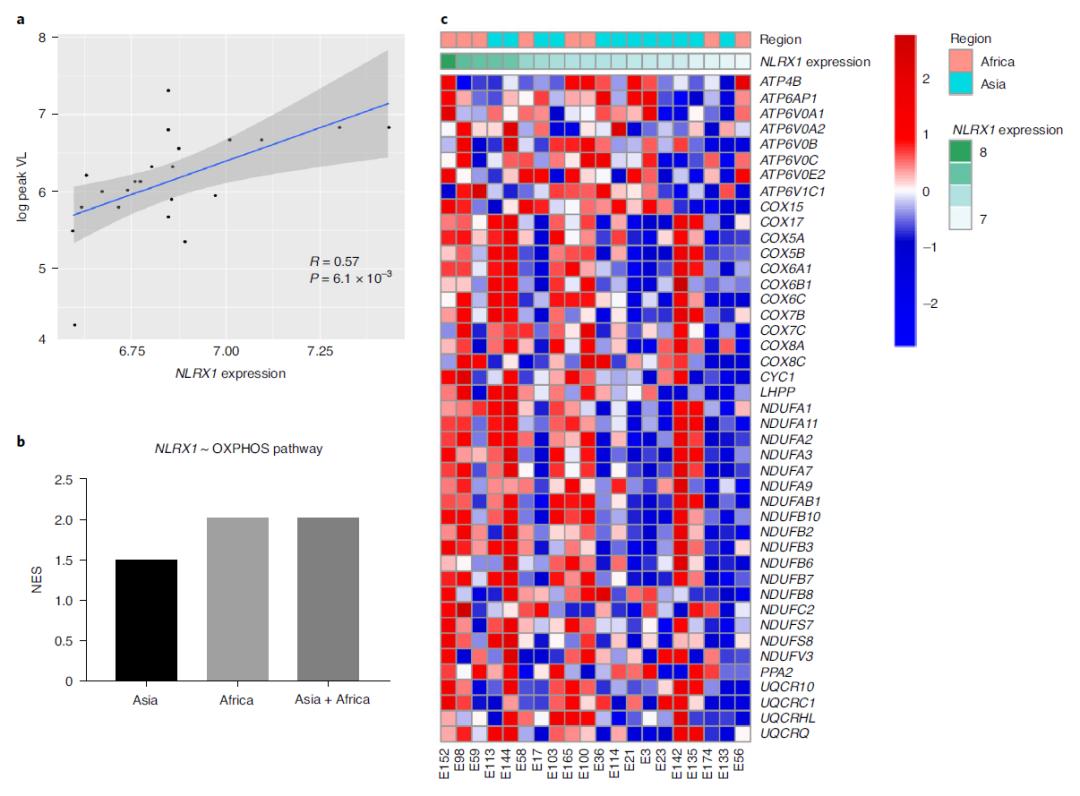 二甲双胍的毒副作用,二甲双胍艾滋病
