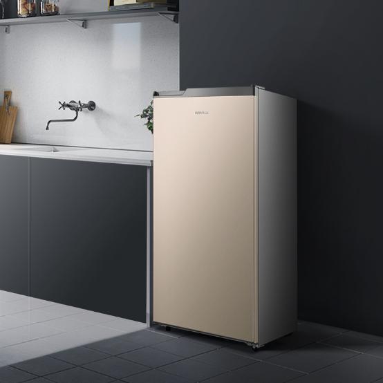 租房冰柜选多大的,租房用小冰箱好还是小冰柜好