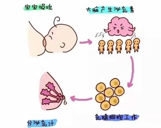 被气的乳腺不通畅了,奶量少怎么办最有效