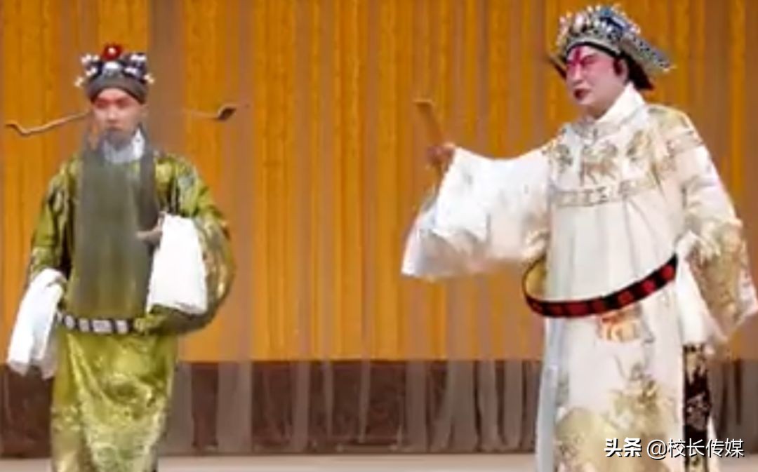 被称为神童的有哪些人,4岁神童当导师被父母毁掉