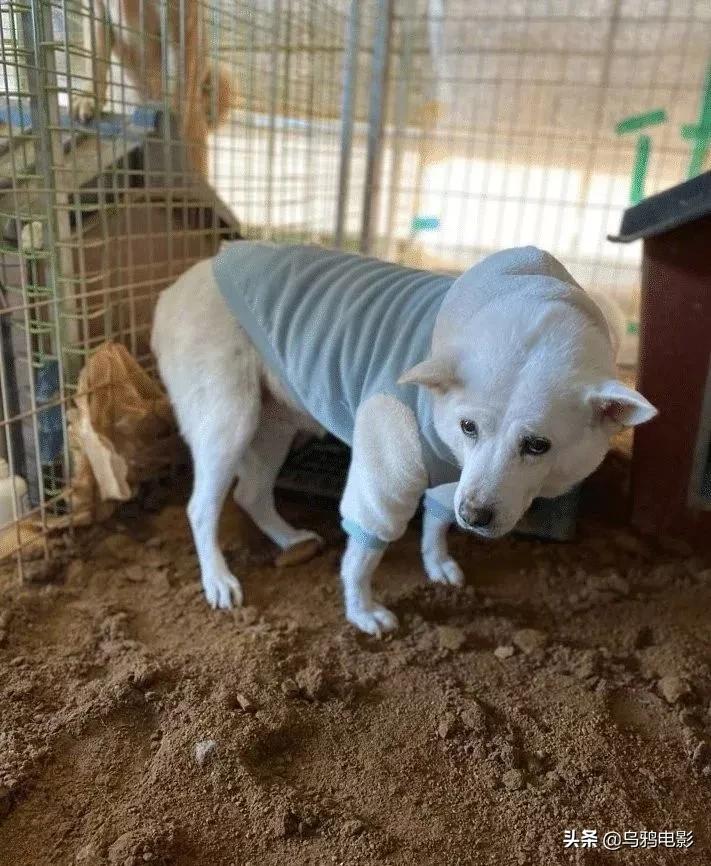 b站必看的综艺,b站能看的综艺推荐