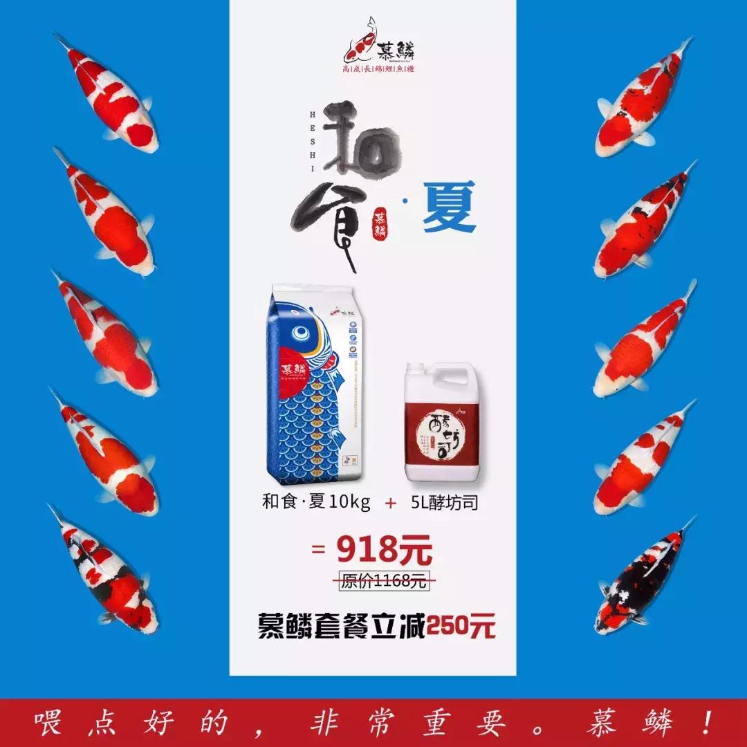 硝化细菌有几种,硝化细菌到底有哪些