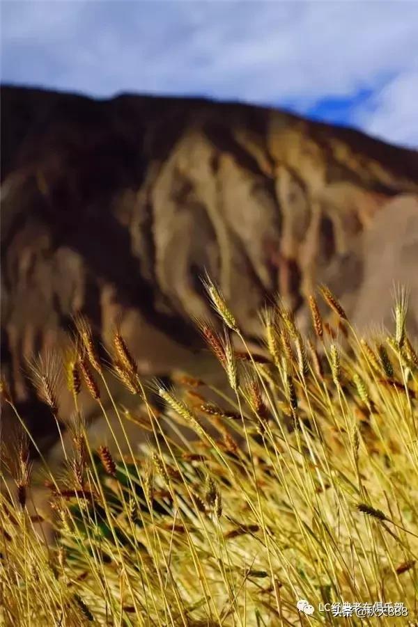 老捷达越野征服草原,老款捷达跑川西