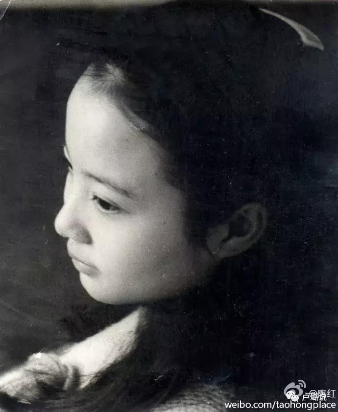 娱乐圈里那些同名不同命的明星,娱乐圈同名同姓的明星都有谁