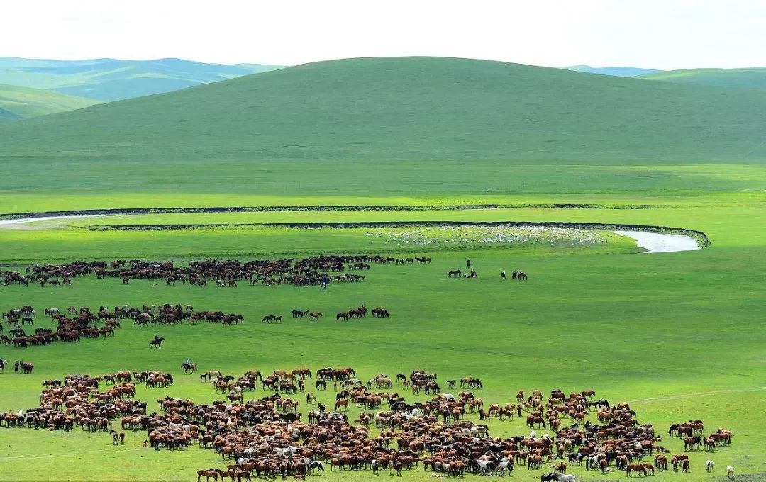 2020世界城市gdp排名,重庆gdp城市排名2020