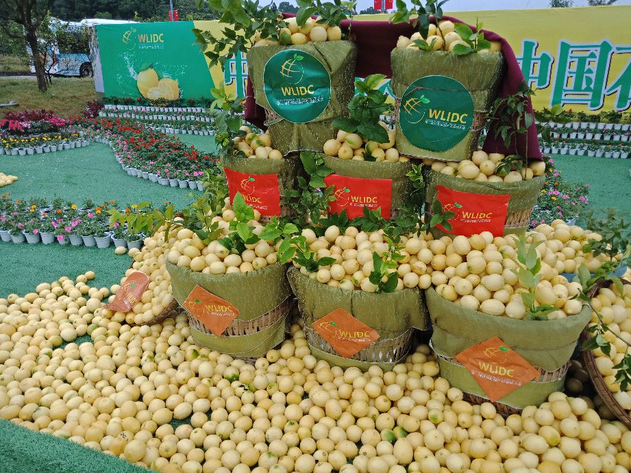 安岳柠檬小镇宝森收门票不,安岳宝森柠檬小镇门票