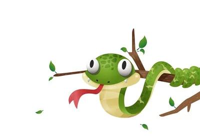 农村老人说有一种会放电的蛇,还能跳起来飞跃山谷,这是真的吗?