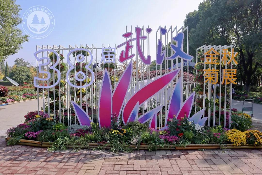 金秋时节菊展赏菊,趁着周末逛菊展