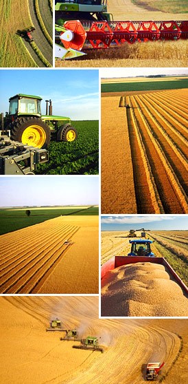 丹麦女王参加典礼,丹麦女王25周年