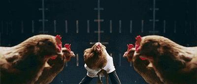 vivox50前置摄像头防抖吗,vivox50独特之处