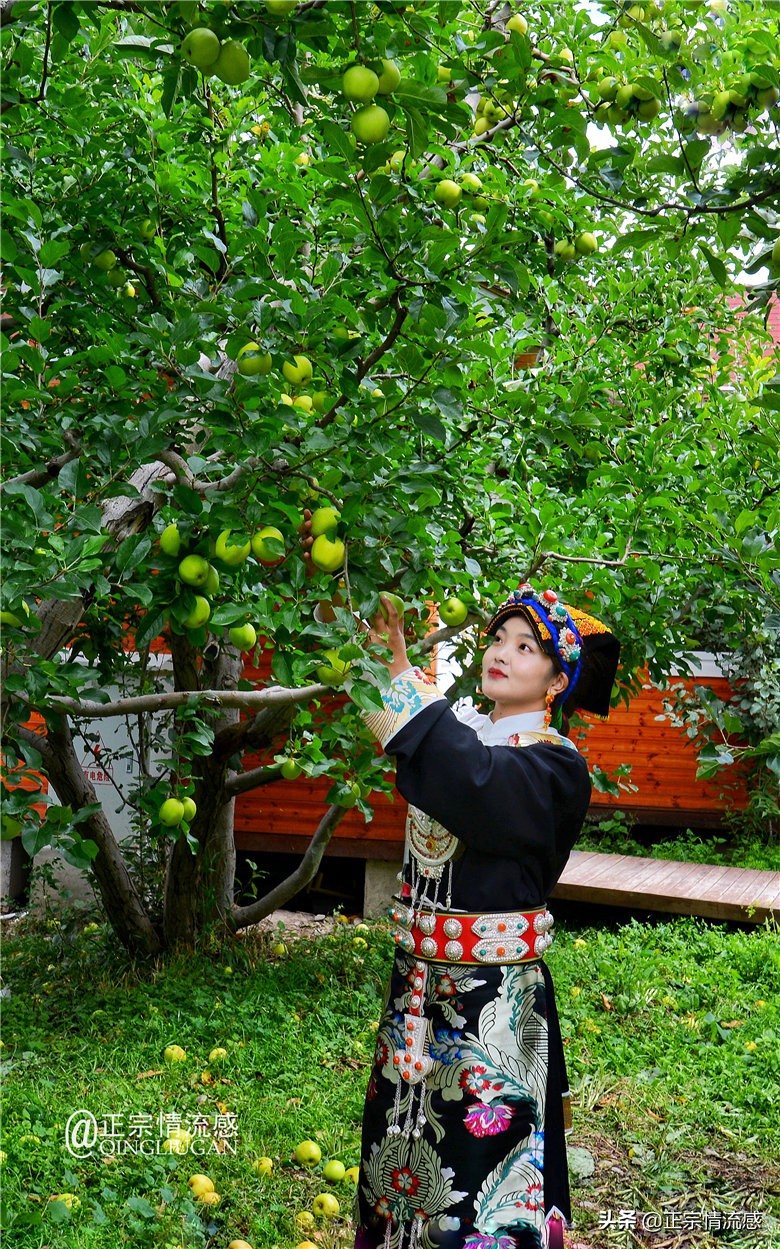 夜色成都串串爽,魅力小金苹果香#国庆中秋趣哪玩#