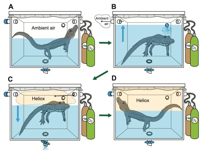 搞笑诺奖：在充满氦气的房间里来上一段B-BOX会怎样？
