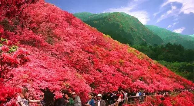 简单介绍一下关于武汉,你真的了解武汉吗