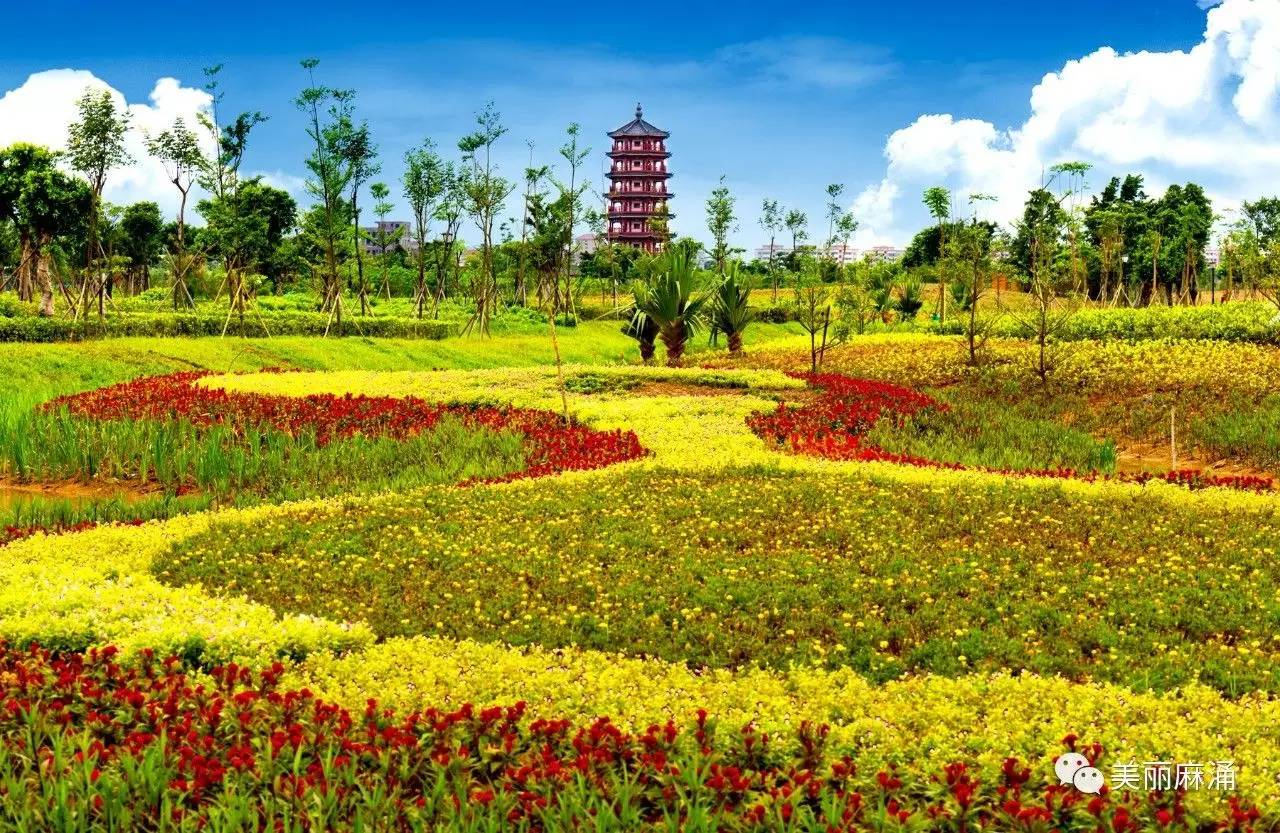 东莞麻涌大湾区,东莞麻涌田园生活
