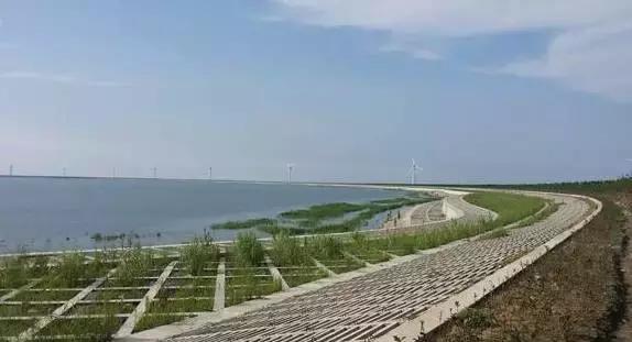 宁波踏青免费好去处,宁波踏青赏花最佳地
