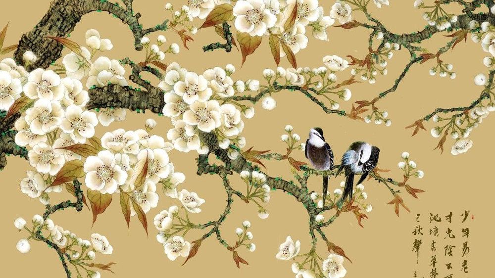 古梅花易数与现代梅花易数的区别,梅花易数的数从何而来