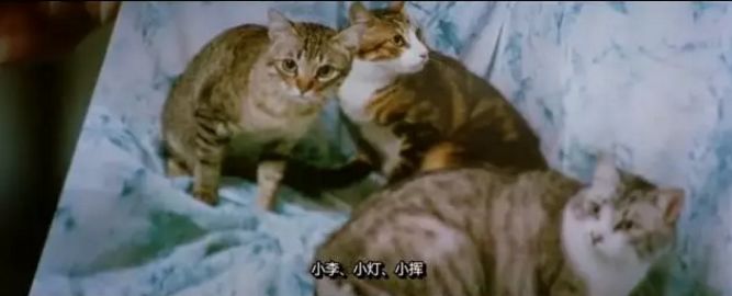 18*片禁**，讽刺权色交易，每一帧都是高潮