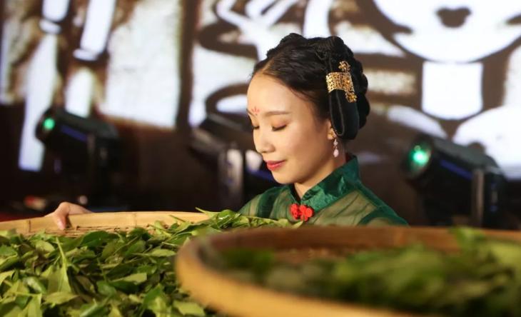 2023年海峡两岸茶王擂台赛,海峡两岸茶文化季